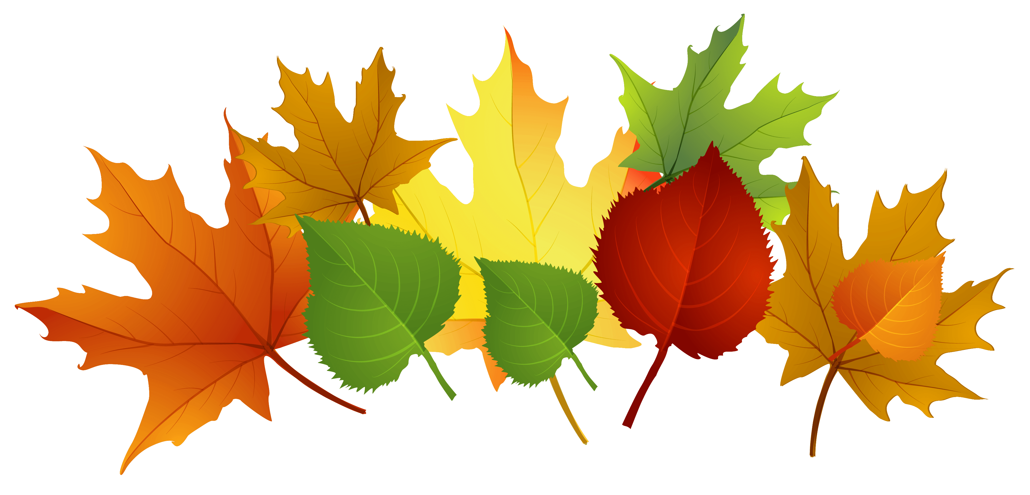 leaves
