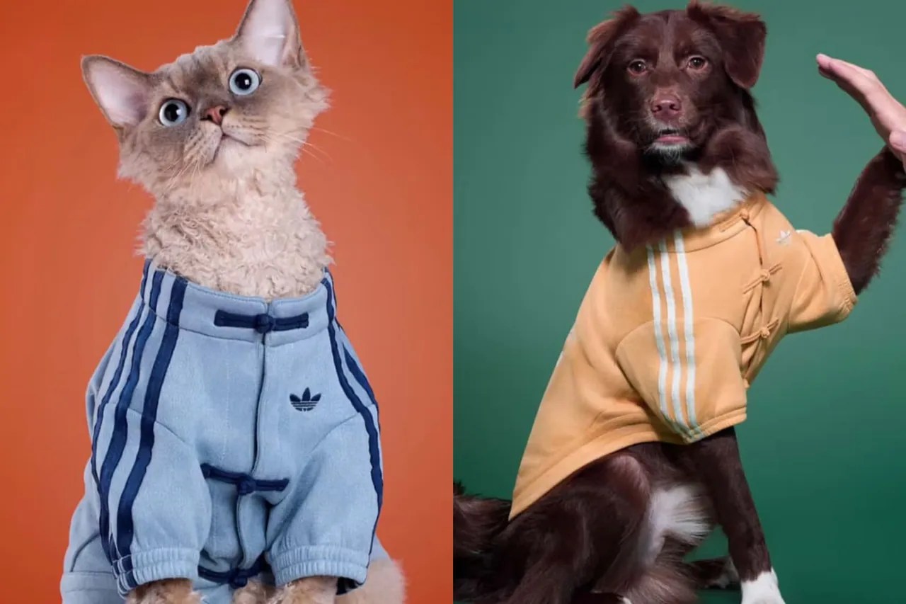 Adidas Expands Pet Collection with Chinese New Year–Inspired Apparel