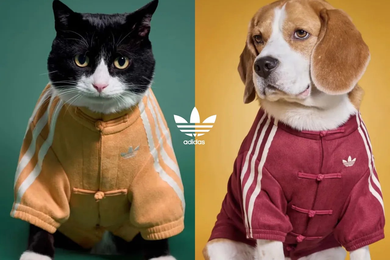 把新年儀式感留給毛孩：adidas 將寵物穿上運動服、中式外套......一曝光便掀起話題！