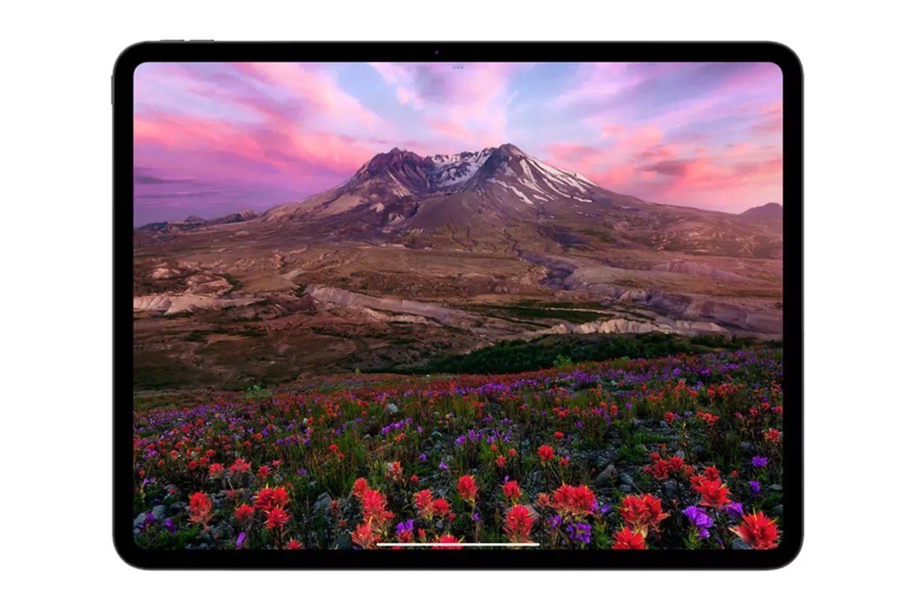 Ipad Case Roundup Techcrunch - Download Professional Vintage Illustration | 8K