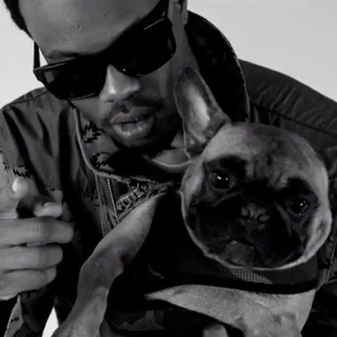 Casey Faces Weasyl - Stunning Nature Design - High Resolution