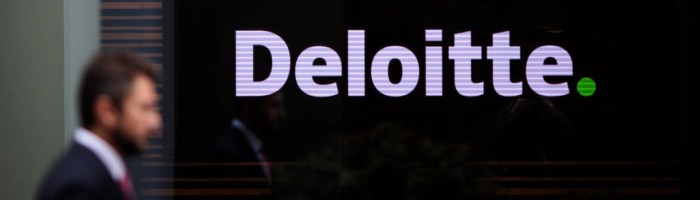 Net worth of deloitte