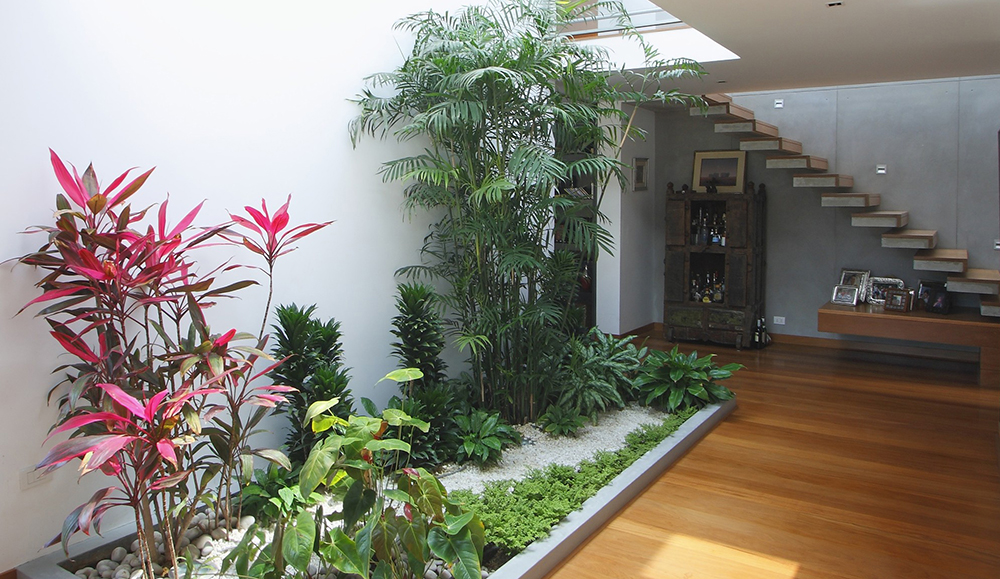 Gratis Download Gambar 50 Desain Taman Di Dalam Rumah Minimalis Desain Taman Kecil Di Terupdate oleh Lampunghits.com