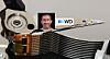 The Future of AI Data Storage: Western Digital's Vision (2026)