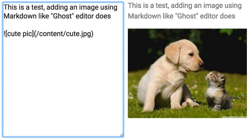 Upload An Image Add The Image Markdown Tag Without Issue 387 - Best Ocean Illustrations in Retina