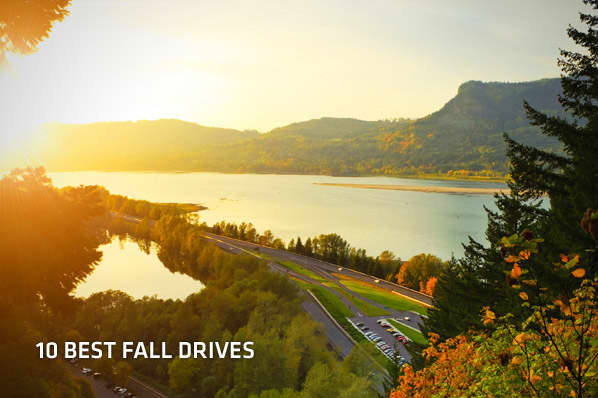 Best Fall Drives 44361214 SS.