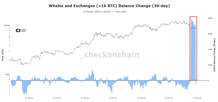 graphique des baleines Bitcoin