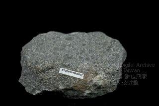 火山石英文陷落火山石英文 陷落火山石的英語翻譯 陷落火山石英文怎麼說 英文 Pripdw