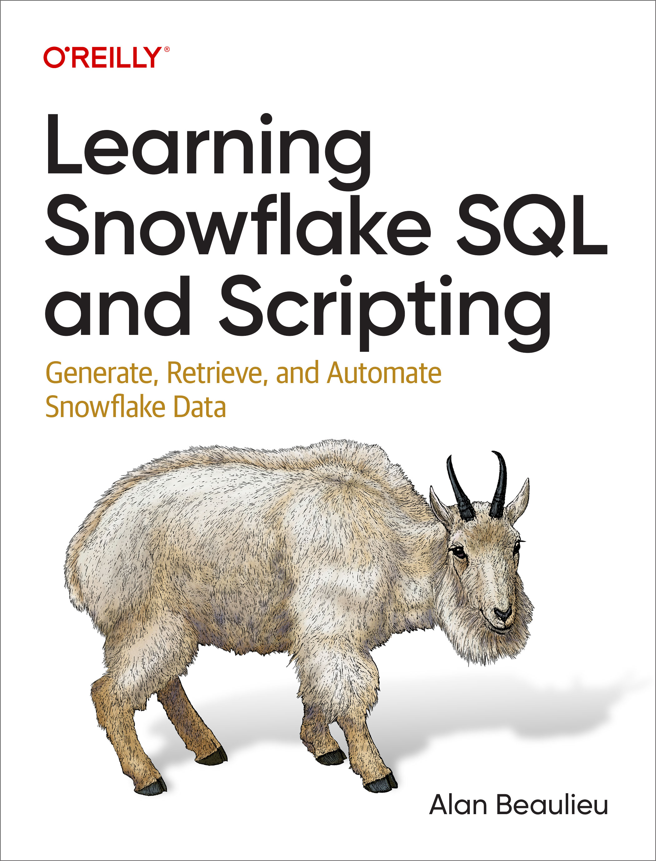 Learning Snowflake Sql And Scripting By Alan Beaulieu Paperback - Download Gorgeous Dark Background | Mobile