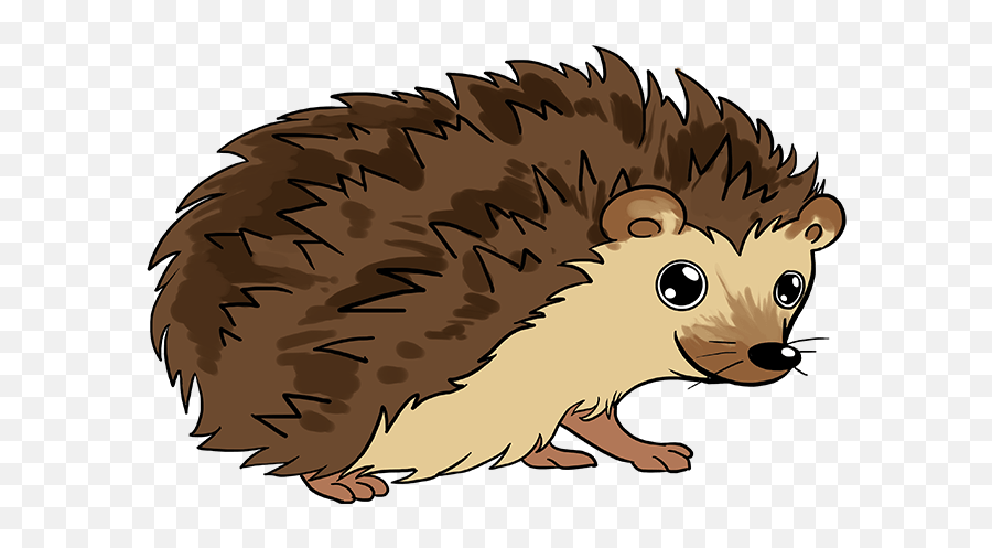 Hedgehog cartoon illustration, animals hedgehog, mammal, face png 776x900px 273.73kb. How To Draw A Hedgehog Cartoon Hedgehog Drawing Emoji Hedgehog Emoji Free Transparent Emoji Emojipng Com