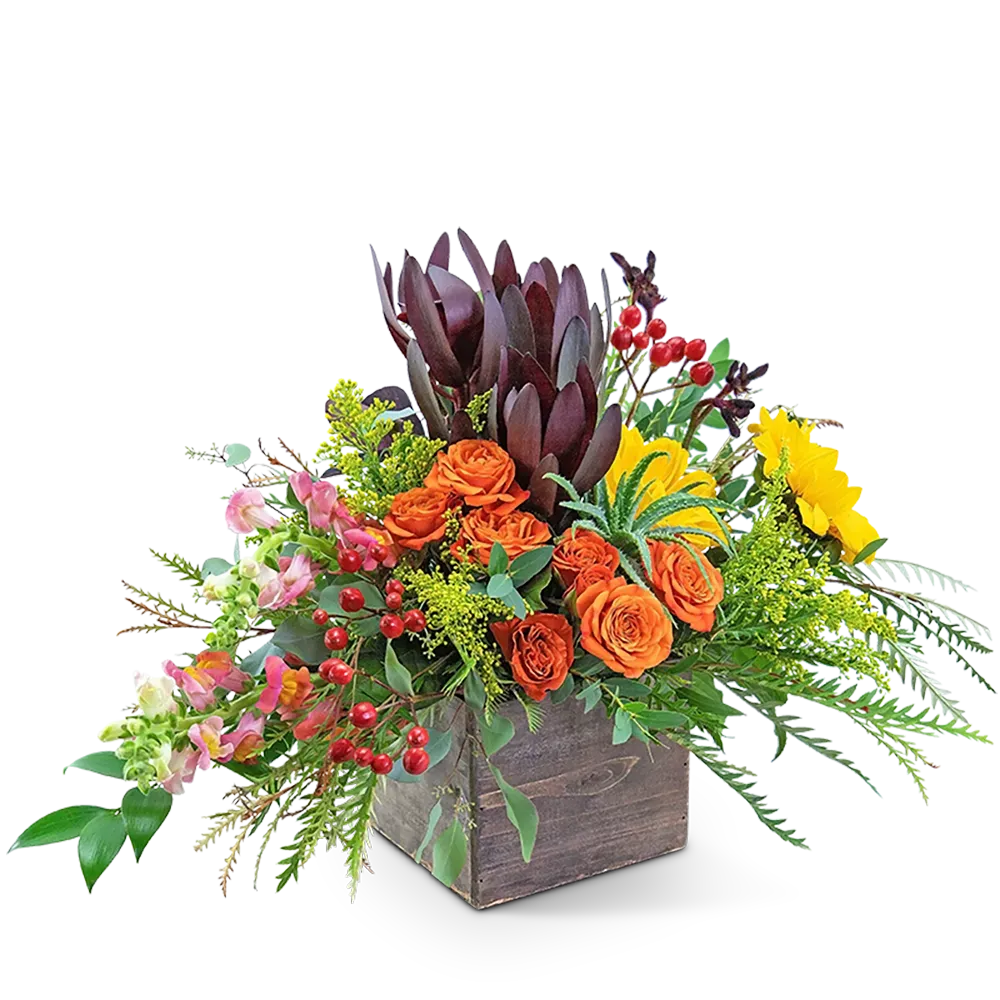 Aurora Moment - Abstract Backgrounds - Ultra HD Mobile Collection