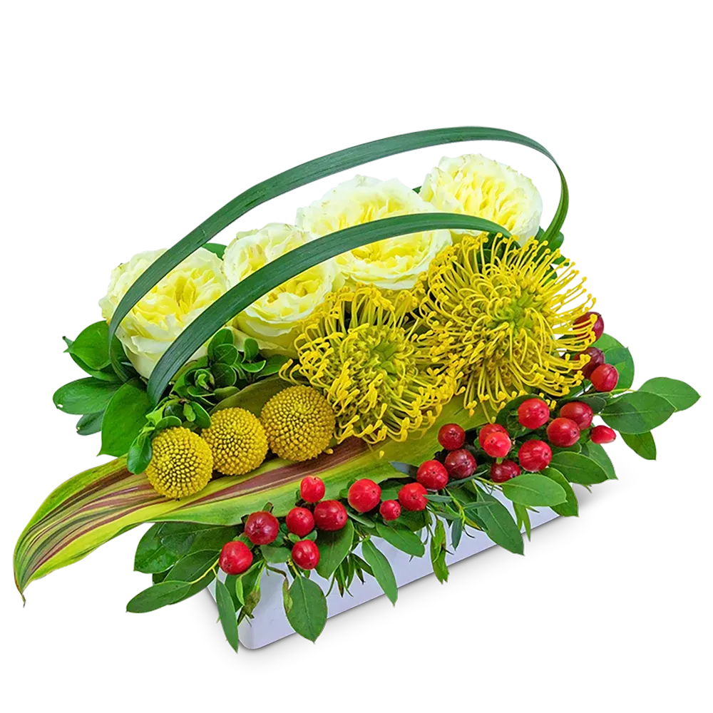 Tropical Pave - Professional High Resolution Sunset Pictures | Free Download