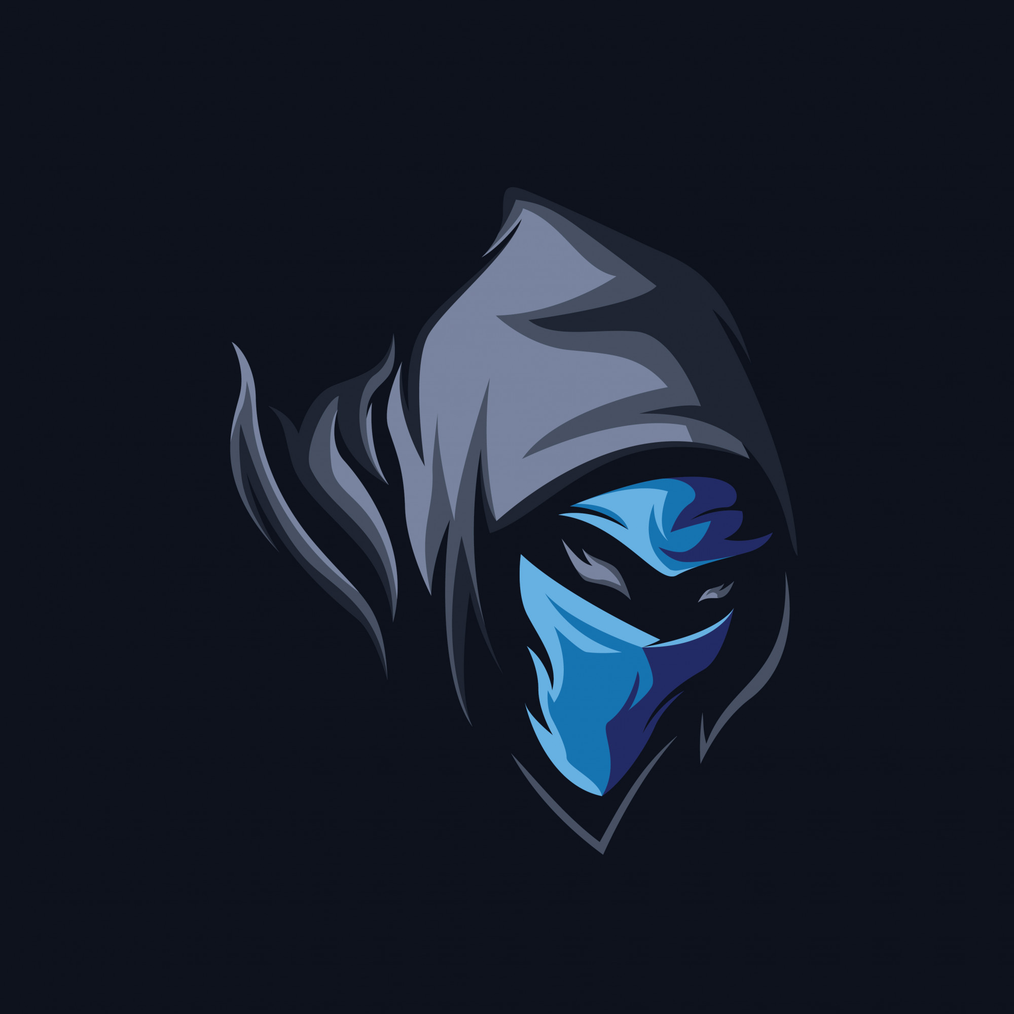 Premium Vector Shadow Ninja