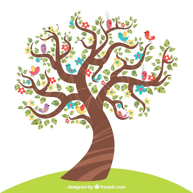 Four Seasons Tree Spring Summer Autumn Winter Vector Image
