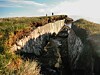 Arctic Permafrost: A Ticking Carbon Bomb? (2026)