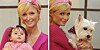 Paris Hilton Als Schosshundchen Stars