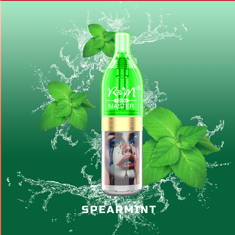 Factory Directly Customized Disposable R&M Master 10000 Puffs Disposable Vapes