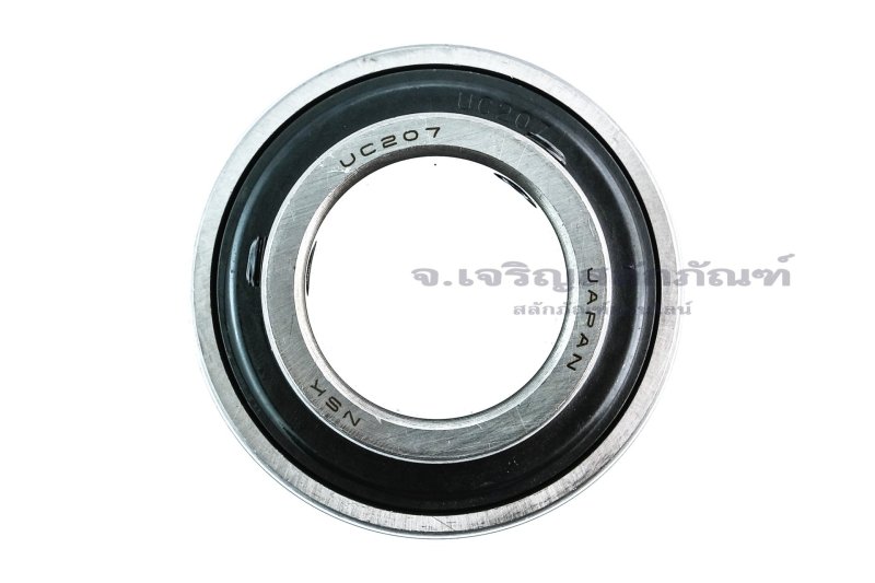 Ucf207 Nsk Sp - Premium Landscape Design Gallery - Retina