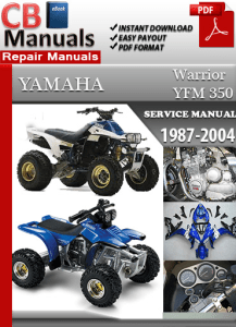 2002 YAMAHA WARRIOR SERVICE MANUAL visual data 4