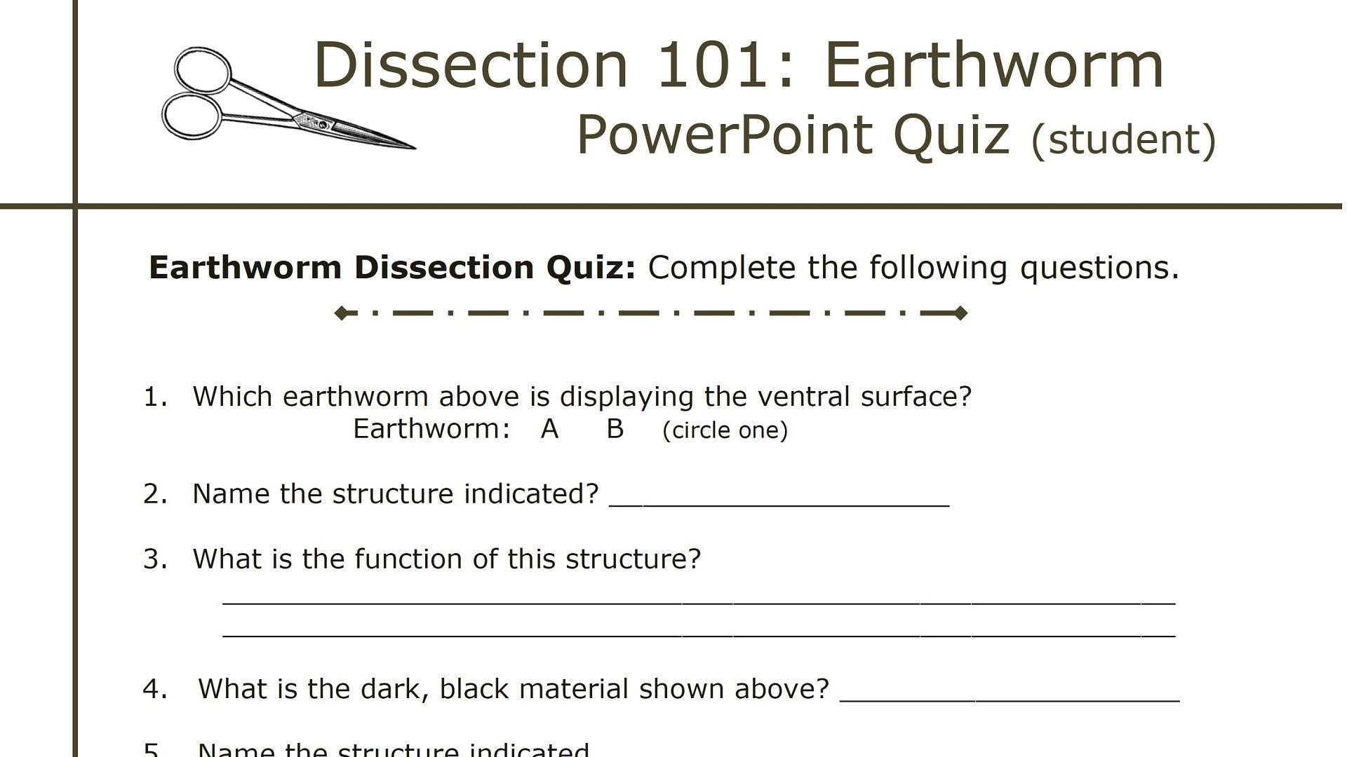 Dissection 101 Earthworm Dissection Lesson Plan Pbs