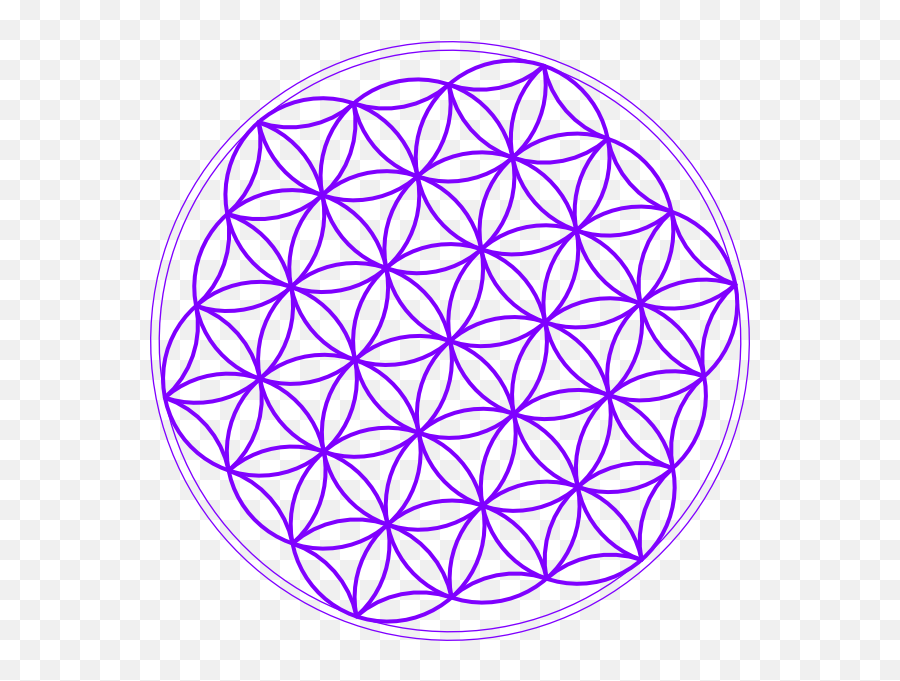 Discover free hd flower of life png images. Life Transparent Download Png Files Se Holistico Flower Of Life Png Free Transparent Png Images Pngaaa Com