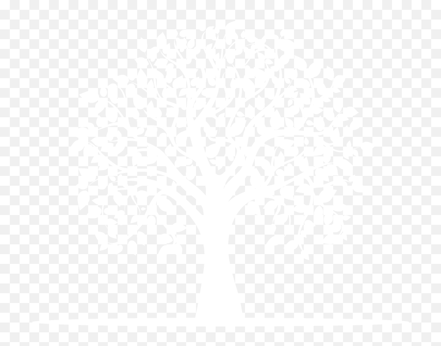 Tree of life and tree of life, celtic tree of life, tree of life vector, tree of life symbol,. Tree Of Life Png Transparent White Tree Of Life Png Tree Of Life Png Free Transparent Png Images Pngaaa Com