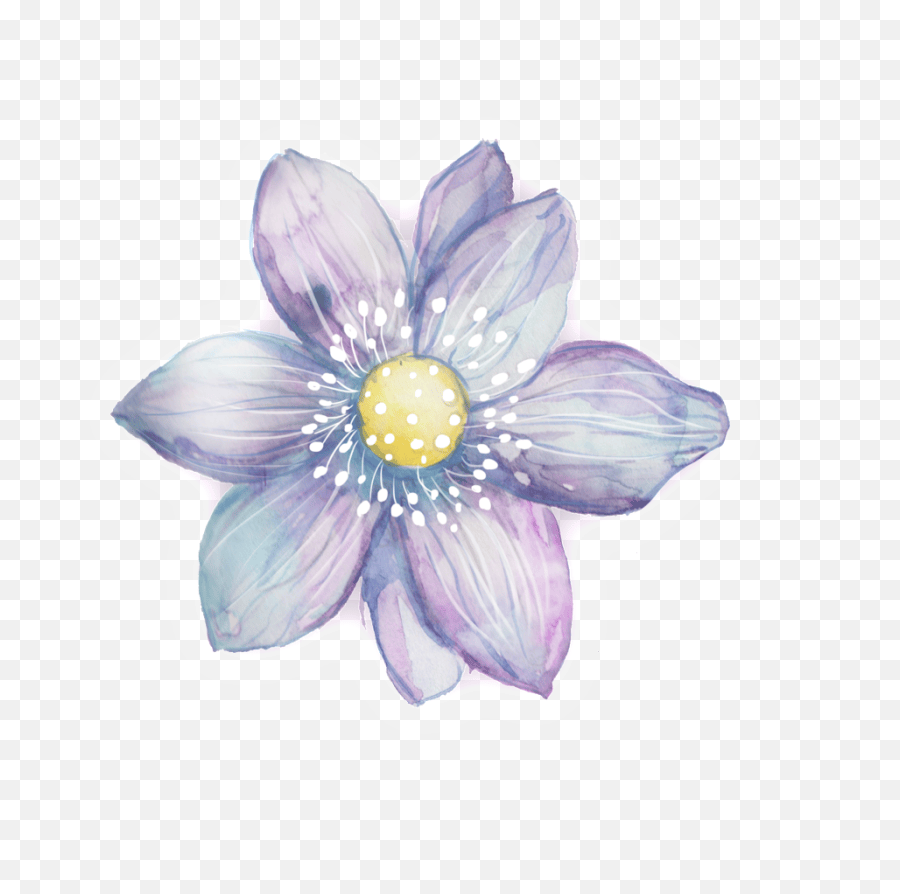 Hand painted watercolor flower decoration pattern, bright, flowers png. Download Hd Purple White Petals Purple Watercolor Flowers Clipart Png Rose Petals Transparent Background Free Transparent Png Images Pngaaa Com