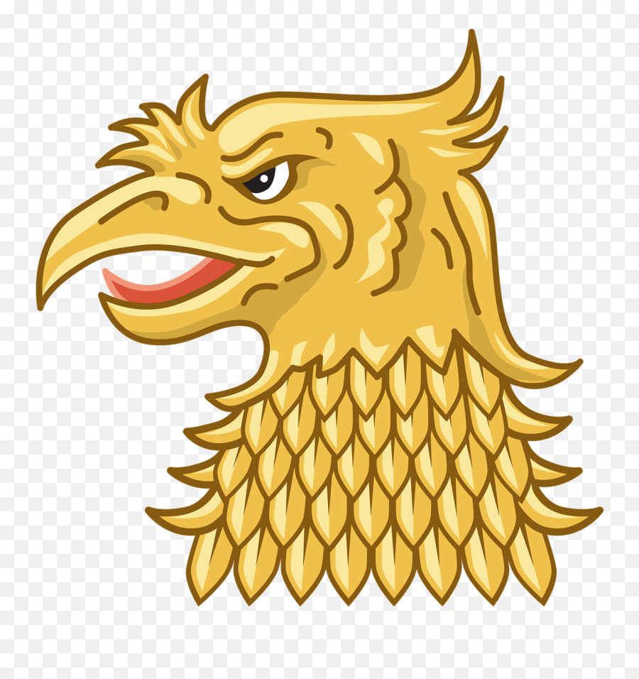 Bird Eagle Head Free Vector Graphics Cabeza De Aguila Png Free Transparent Png Images Pngaaa Com