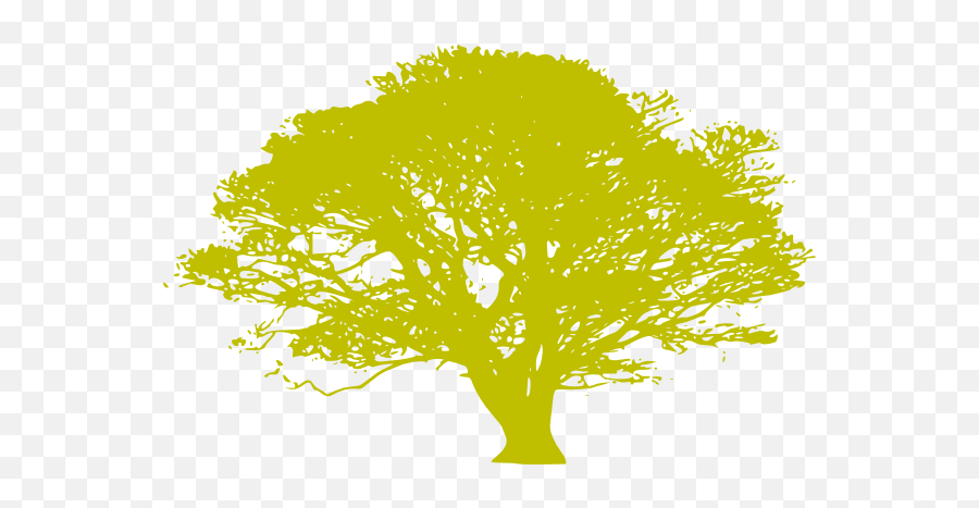 African Tree Silhouette Png / Exotic Tree Silhouette Png Clip Art Image African Tree Silhouette Png Transparent Png Transparent Png Image Pngitem / Download this free picture about africa forest silhouette from pixabay's vast library.