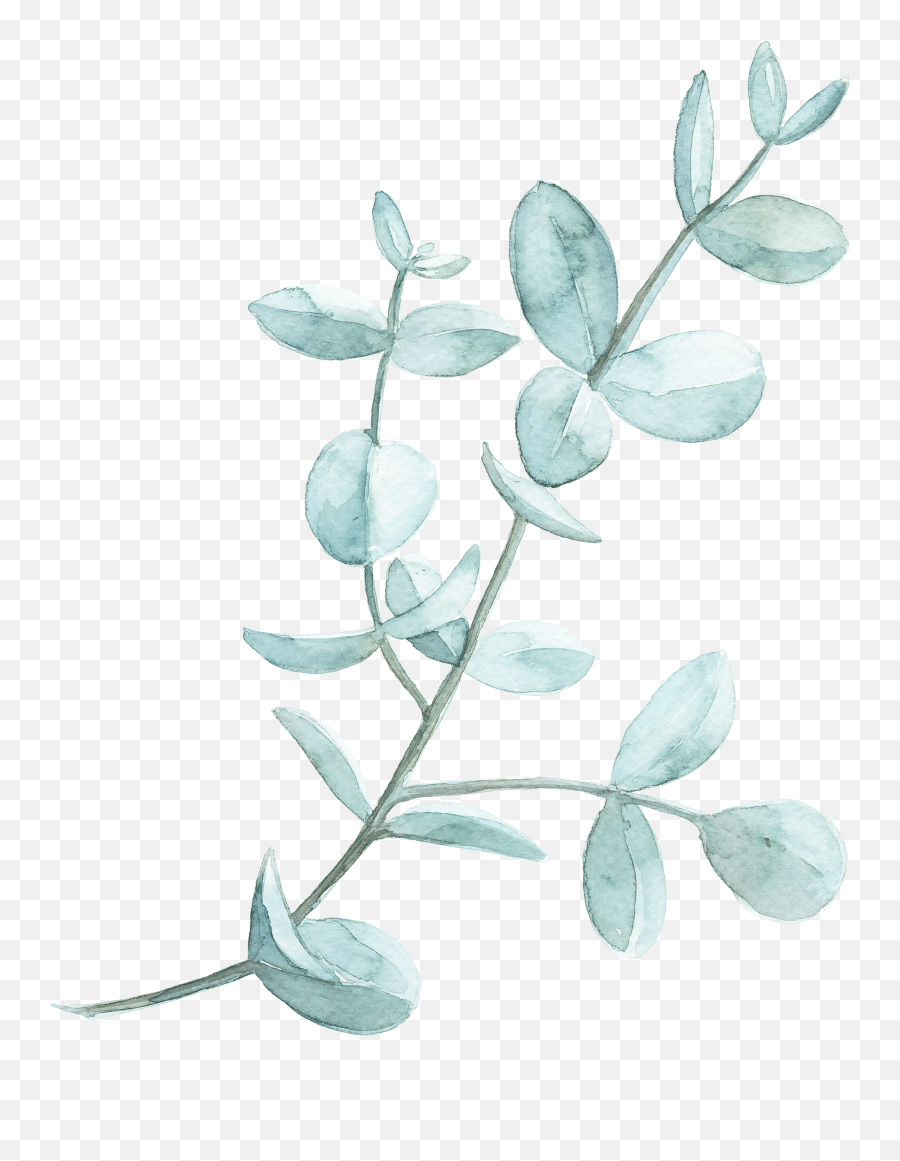 Bright exploration of green shines warmly with colorful shades, speaks through sounds of nature, smells like a spring garden after a rain. Leaf Watercolor Painting Clip Art Green Leaves Watercolor Png Watercolor Leaf Png Free Transparent Png Images Pngaaa Com