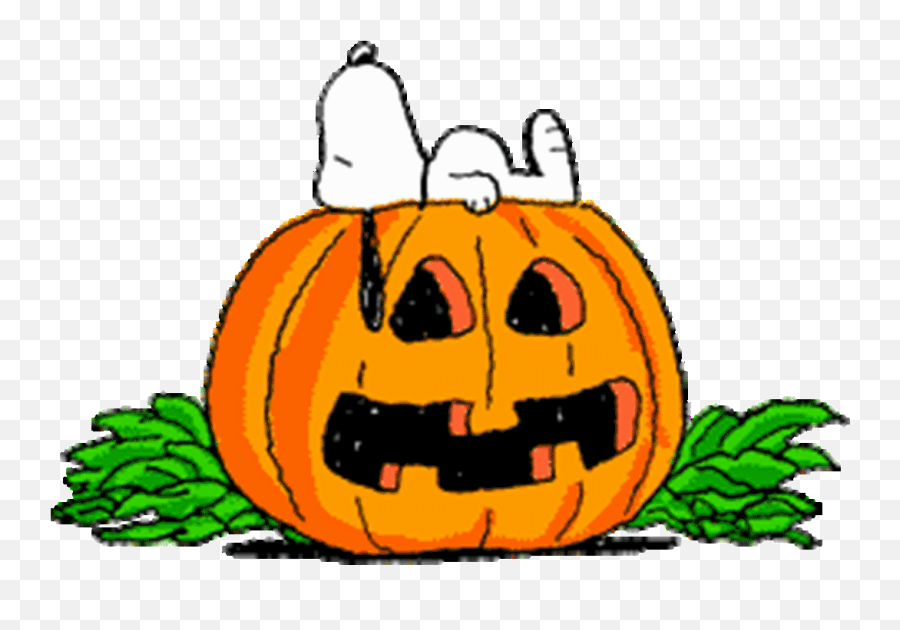Category includes angel of death, devil of death, angel of dark and light, skeletons, witches, vampires, devils and headless men, pumpkins and creepy halloween animations. Library Of Free Animated Halloween Banner Freeuse Png Files Charlie Brown Jack O Lantern Halloween Gif Transparent Free Transparent Png Images Pngaaa Com