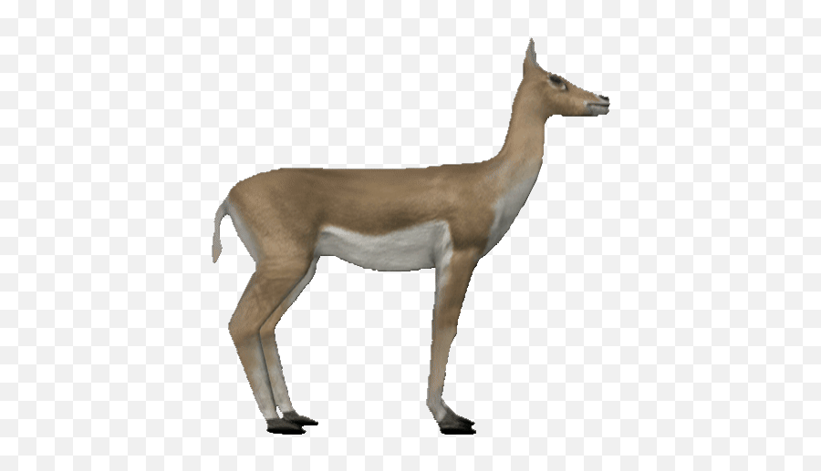 Png Sticker Gif Animals Gif Png Antelope Png Free Transparent Png Images Pngaaa Com