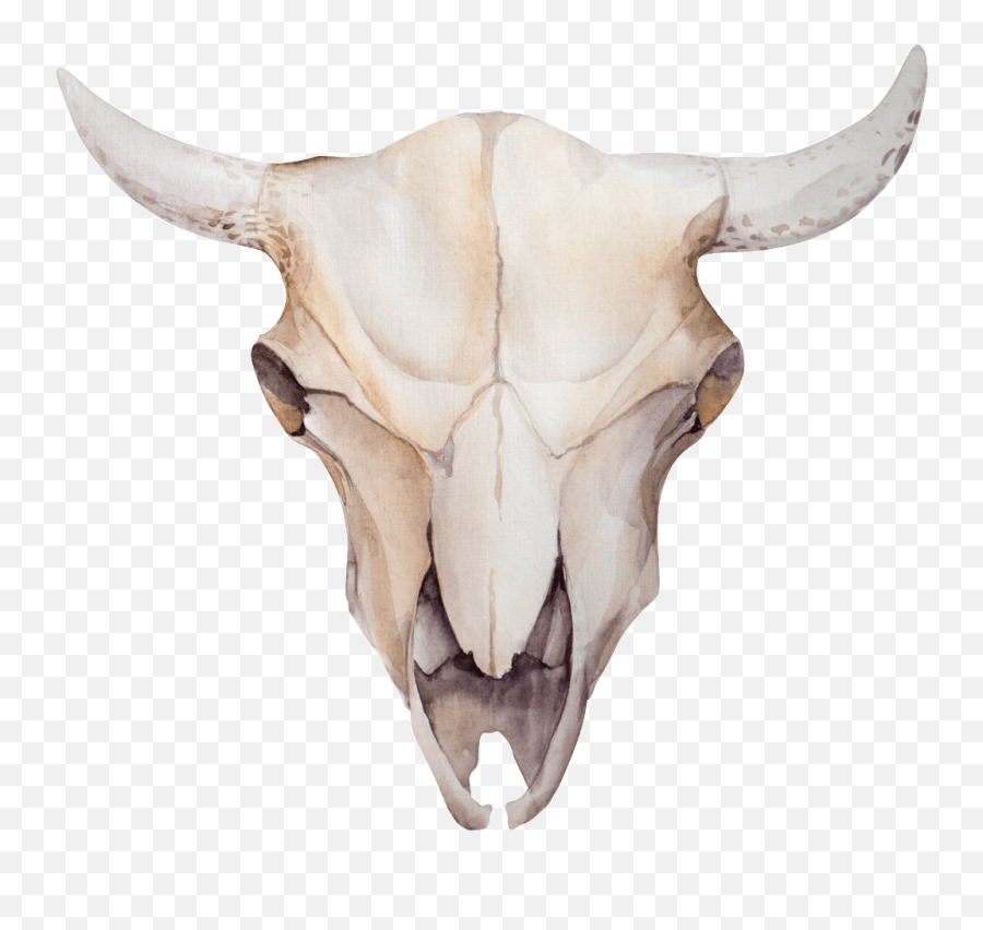 See the handpicked 95 animal skull png gallery posted by christopher mercado,. Animal Skulls Skeleton Bone Search Png Bull Skull Png Bone Png Free Transparent Png Images Pngaaa Com