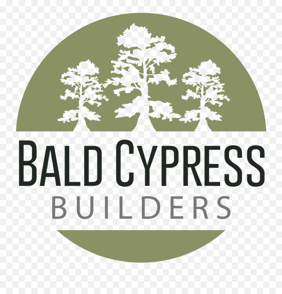 Download free bald cypress png images, bald eagle, cypress family, bald, bald strong, cypress, leyland cypress, bald uakari, bald cypress clipart. Bald Cypress Builders Jack Johnson Unforgivable Blackness Png Cypress Tree Png Free Transparent Png Images Pngaaa Com