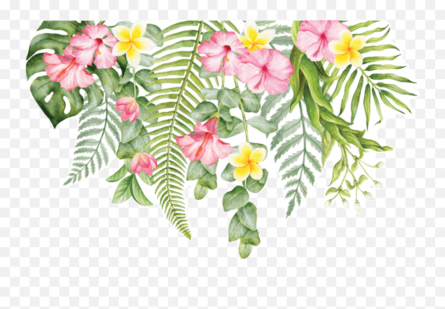 All images are transparent background and unlimited download. Tropical Floral Transparent Png Tropical Flower Frame Png Hawaiian Flowers Png Free Transparent Png Images Pngaaa Com