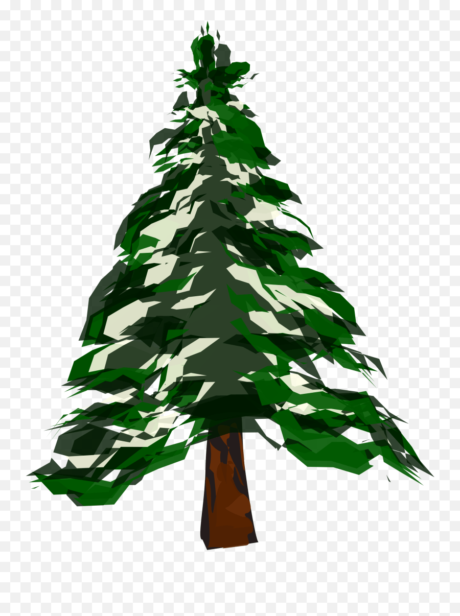 Short conifer tree png images & psds for download with transparency. Pine Tree Png Snow Picture Deciduous Vs Coniferous Trees Snowy Trees Png Free Transparent Png Images Pngaaa Com