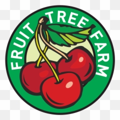 Free Transparent Tree Images Page 55 Pngaaa Com