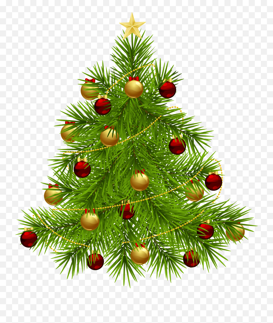This method keeps taking down your tree neat and organized. Transparent Background Christmas Tree Free Clipart Png Christmas Tree Transparent Background Free Transparent Png Images Pngaaa Com