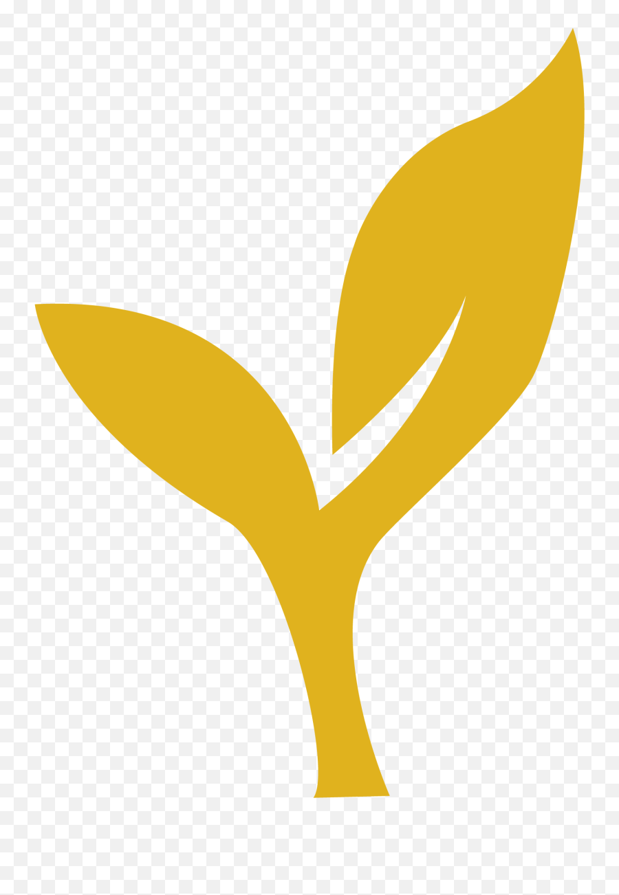 Gold Instagram Logo Gold Nitro Instagram Hd Png Download Gold Nitro Logo Free Transparent Png Images Pngaaa Com