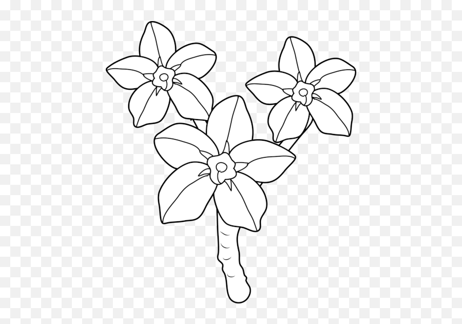 Book publishing is a difficult and contentious business. Forget Me Not Coloring Page Forget Me Not Flower Coloring Page Png Forget Me Not Png Free Transparent Png Images Pngaaa Com