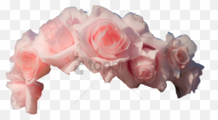 To explore more similar hd image on pngitem. Yellow Flower Crown Png Yellow Flower Crown Png Flower Crown Transparent Free Transparent Png Images Pngaaa Com