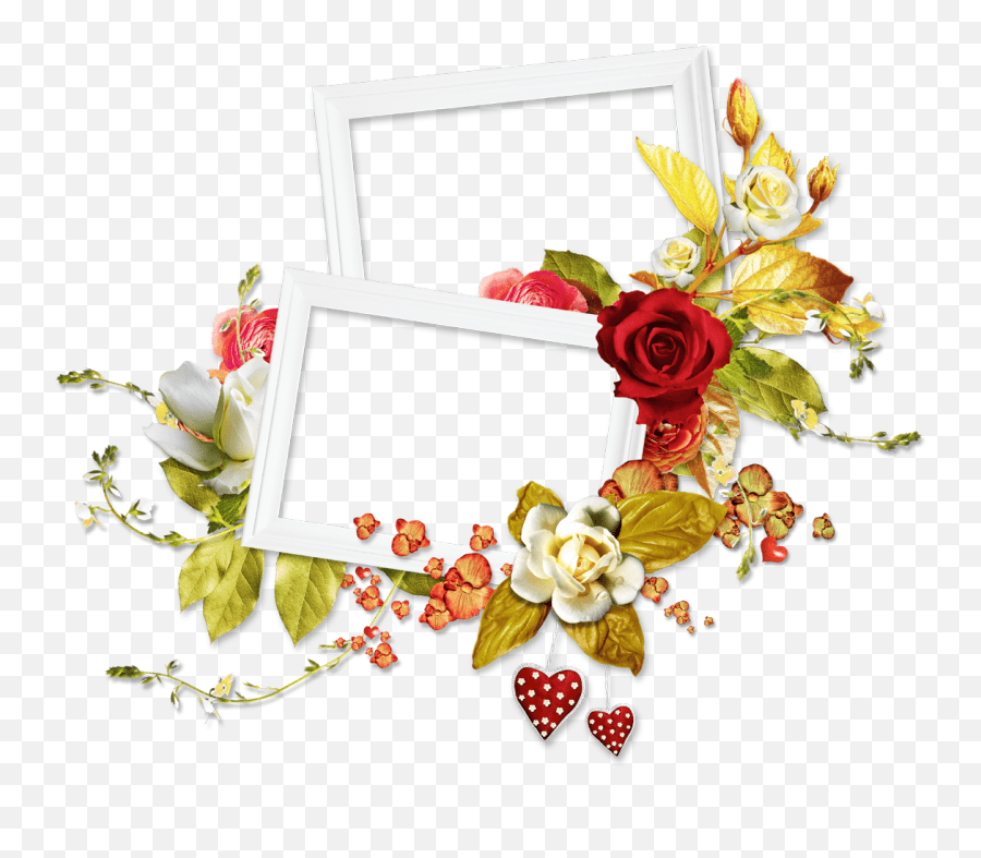 · why aspire to be a floral . Rose Flower Frame Png Two Flower Frame Png Floral Frame Png Free Transparent Png Images Pngaaa Com