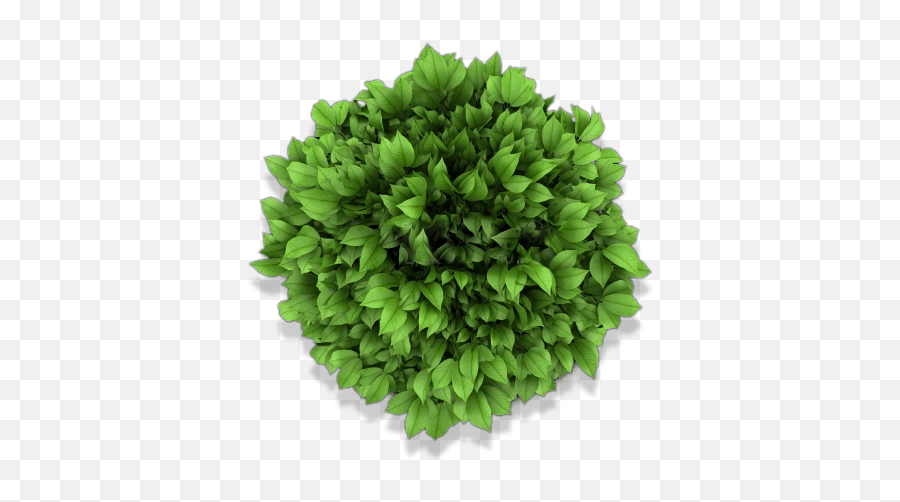 Landscape planner, flower png images, trees top view, pavilion design,. Download Bed Top View Png Top View Of Garden Plants Png Artificial Flower Garden Png Free Transparent Png Images Pngaaa Com