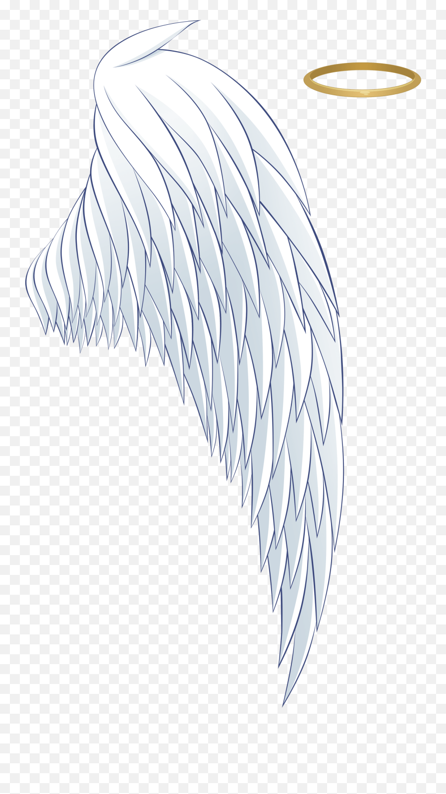 To explore more similar hd image on . Angel Wing Aureola White Wings Halo Hq Halo Angel Wings Png Angel Halo Transparent Background Free Transparent Png Images Pngaaa Com