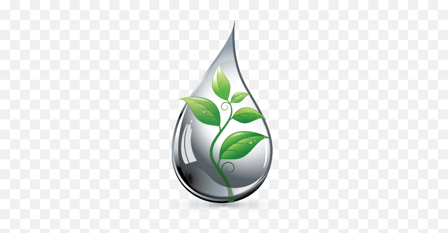Create A Logo Free Drop Leaf Logo Template Water Drop Leaf Logo Png Free Transparent Png Images Pngaaa Com