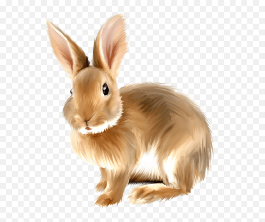 Large medium small any size · orientation. Rabbit Png Images Free Rabbit Clipart Png White Bunny Png Free Transparent Png Images Pngaaa Com