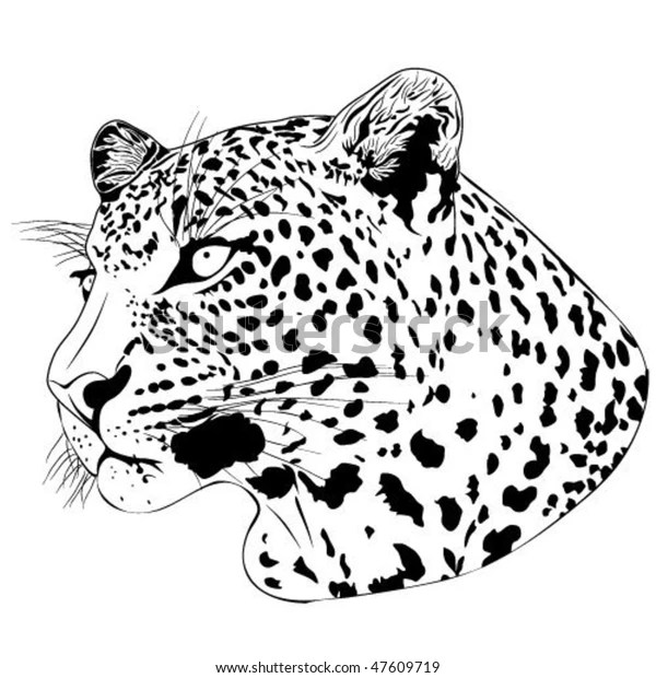 Leopard Tattoo Stock Vector (Royalty Free) 47609719 620_x_600_jpg