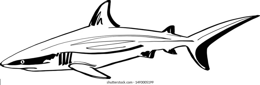 Shark Ink Tattoo: Vectores, Imágenes Y Arte Vectorial De Stock | Shutterstock 280_x_850_jpg
