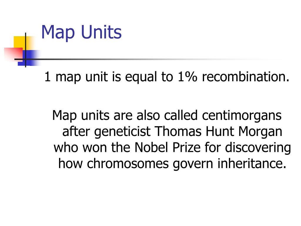 PPT Molecular Mapping PowerPoint Free Download ID 1125169 Map Units L 