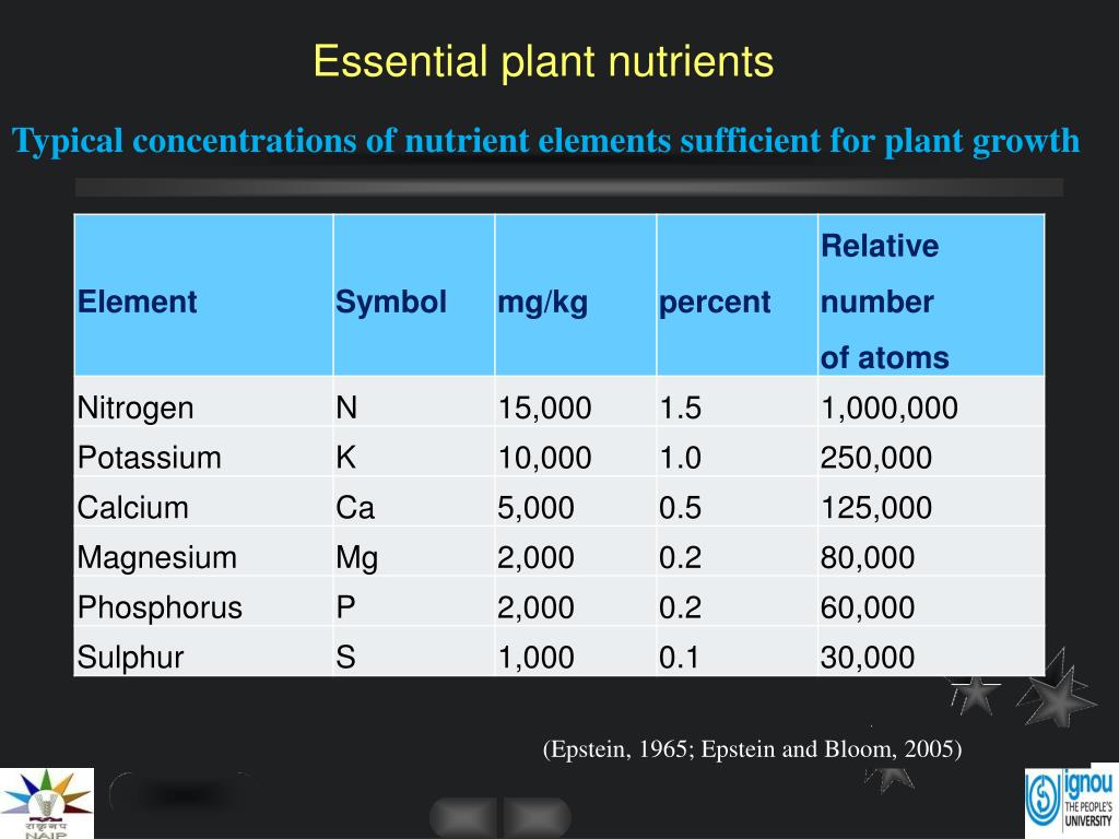 Ppt Essential Plant Nutrients Powerpoint Presentation
